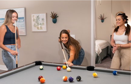 people playing pool